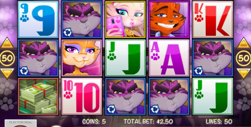Catsino online slot